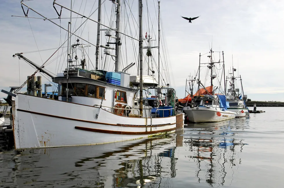 Alaska trollers have one a victory in their battle with NGOs over protections for killer whales.