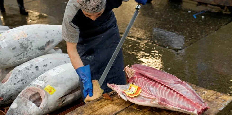 Japan's Toyosu market to loosen regulations on large-volume fish sales