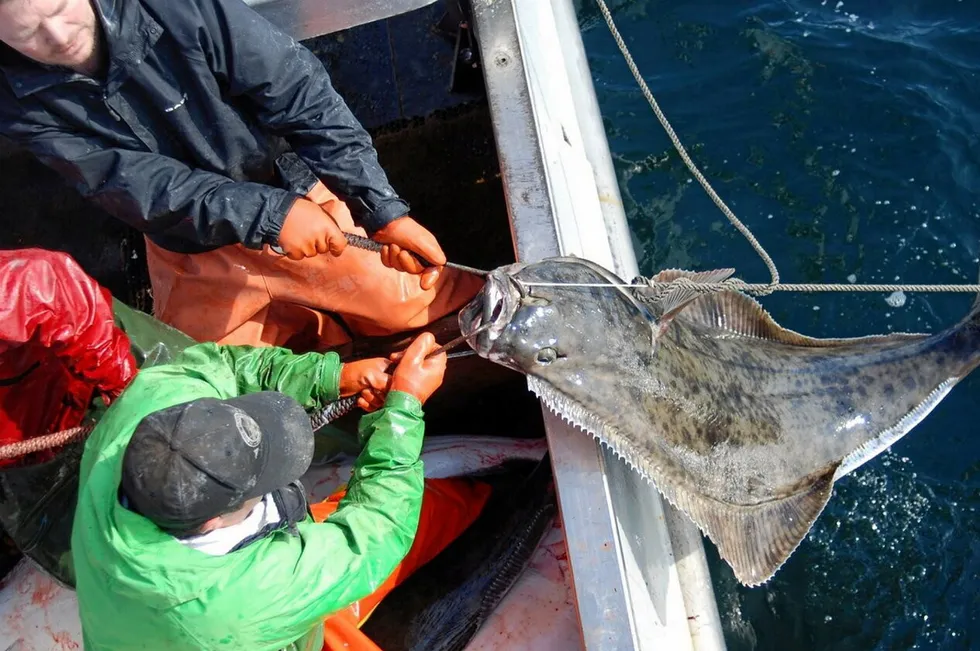 Alaska Longline Fishermen’s Association has long advocated for abundance-based management for halibut.