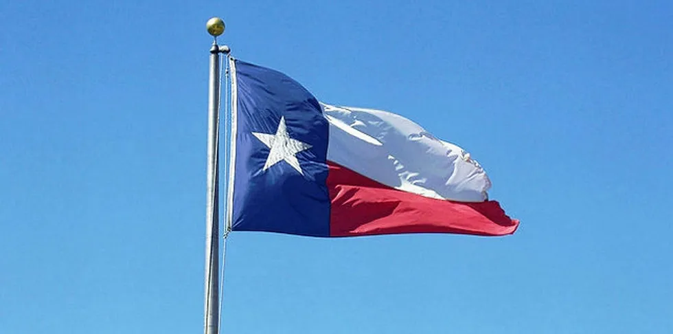 Duke acquires 200MW PV project as Texas solar expansion surges