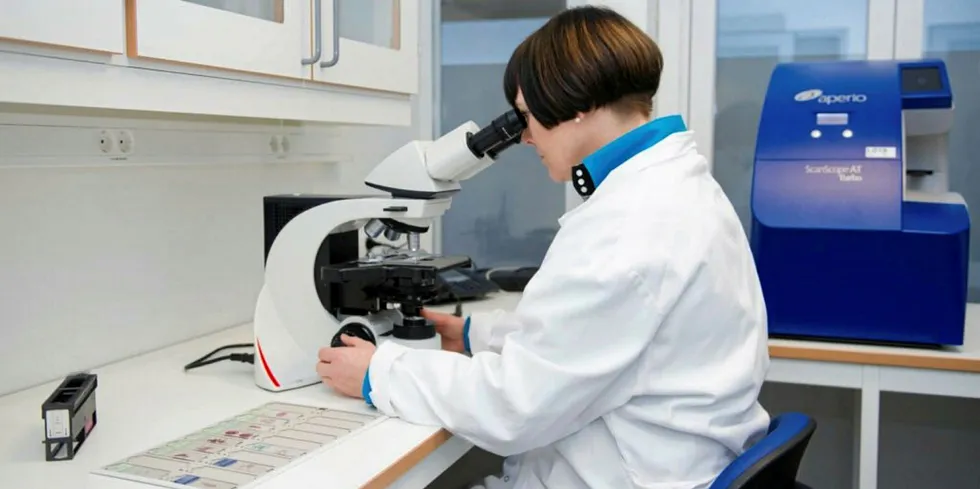 Histology at Fish Vet Group.