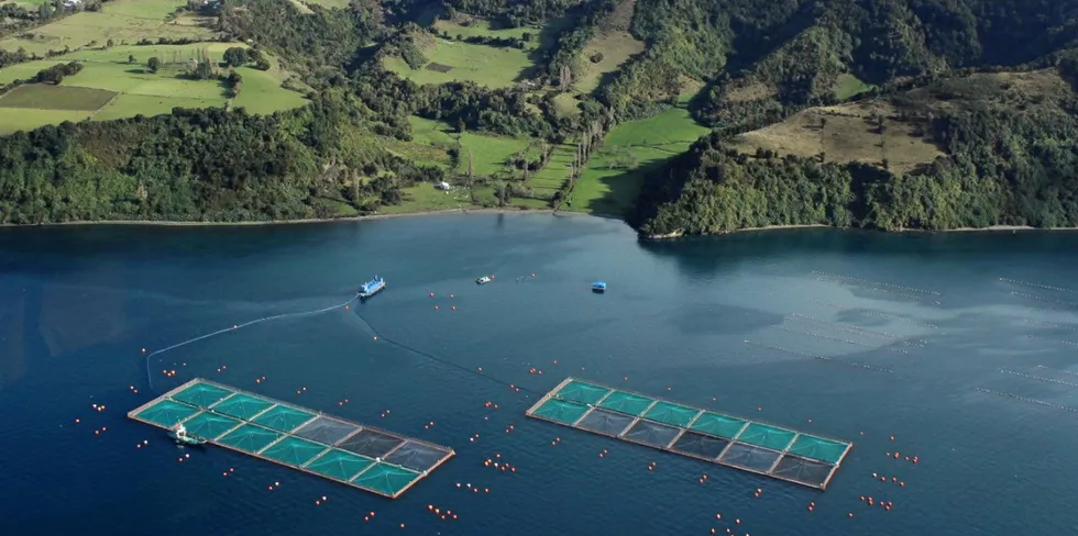 The Chilean salmon industry wants to keep up with the competition from rival producer nations.