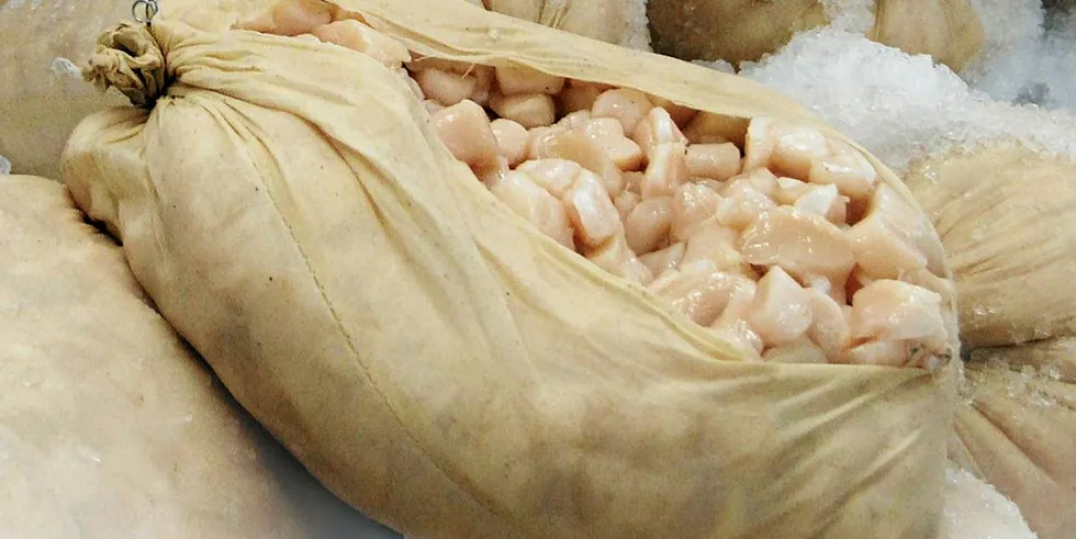 Raw Seafoods' fresh scallops.