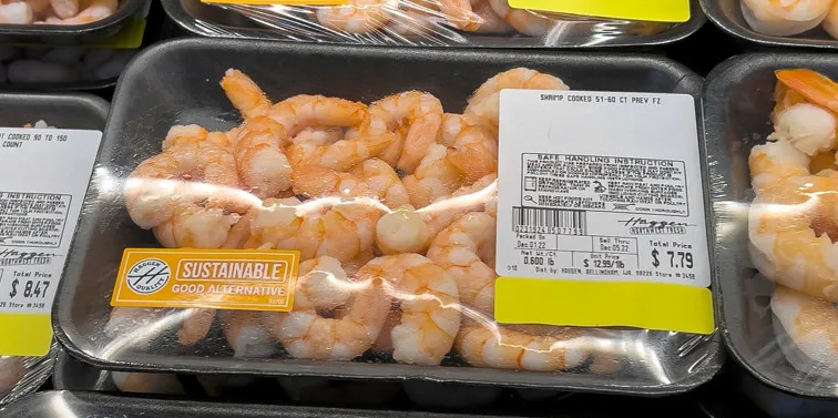 Are better times here to stay for shrimp producers?
