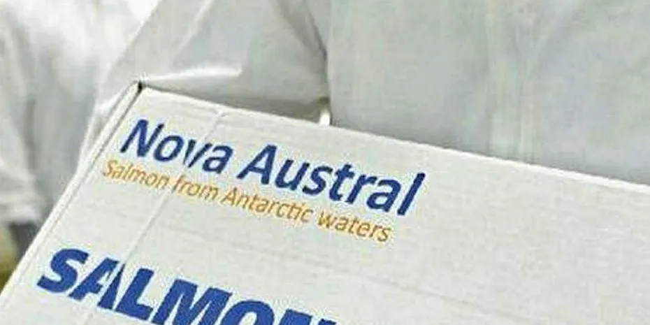 Nova Austral can ship out more salmon than expected next year.