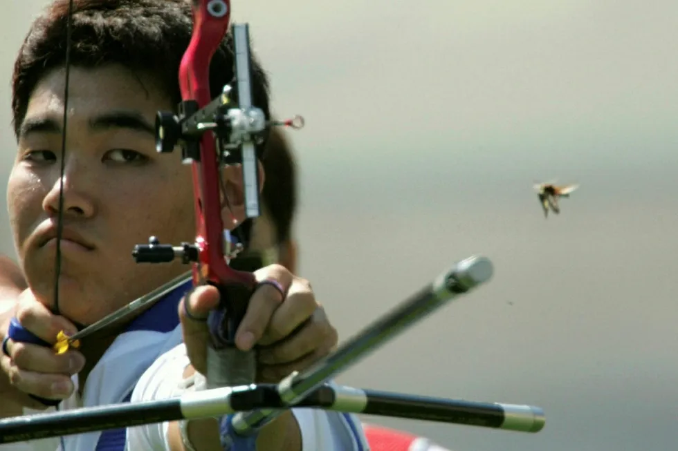 Growth in sights: for Archer