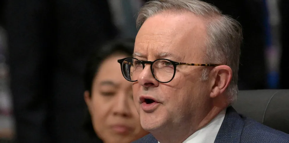 Anthony Albanese, prime minister of Australia.