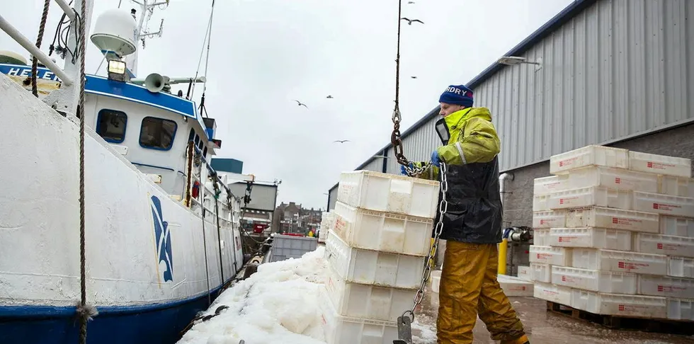 Rooser was partly founded by seafood entrepreneur Joel Watt, who serves as Rooser's CEO, and its CCO Nicolas Desormeaux, who was a commercial fish buyer and seller.