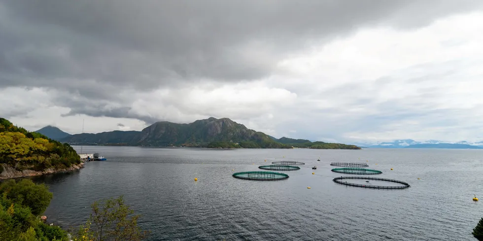 SalMar discovered damage to one of the pens on July 2, according to Norwegian Directorate of Fisheries.