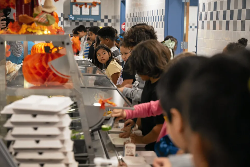 The USDA is seeking more Alaska pollock for its domestic food distribution programs.