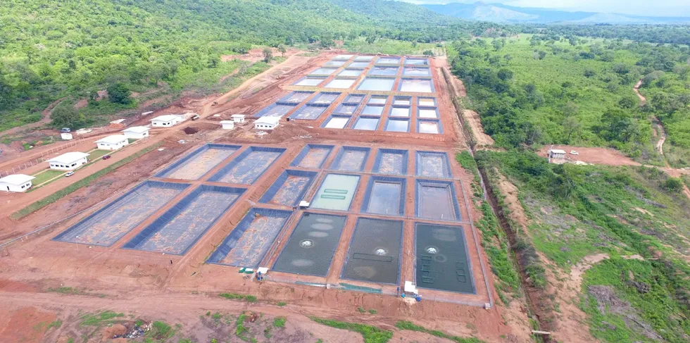 Genomar Tocantins new breeding center in Brazil will open in early 2022.