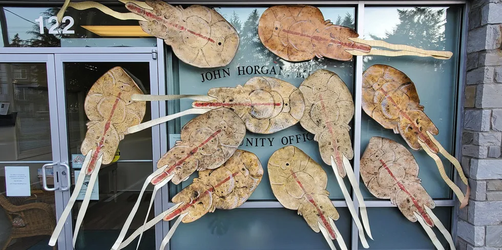 Watershed Watch "infests" Premier John Horgan's office with sea lice in a plea to remove salmon farms in British Columbia.