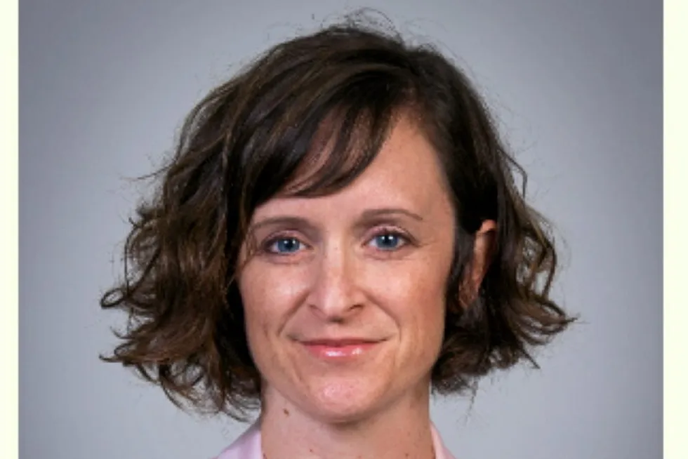 Liz Klein of BOEM.