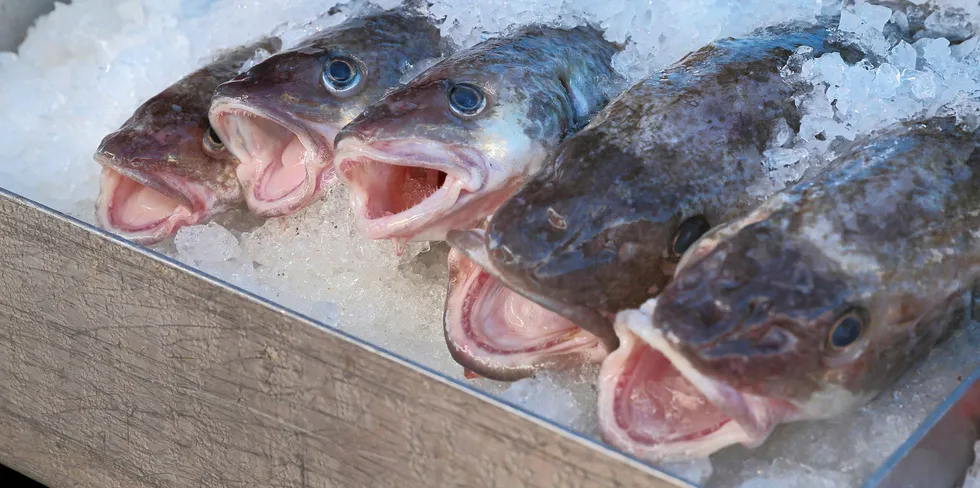 Pacific cod gets MSC approval
