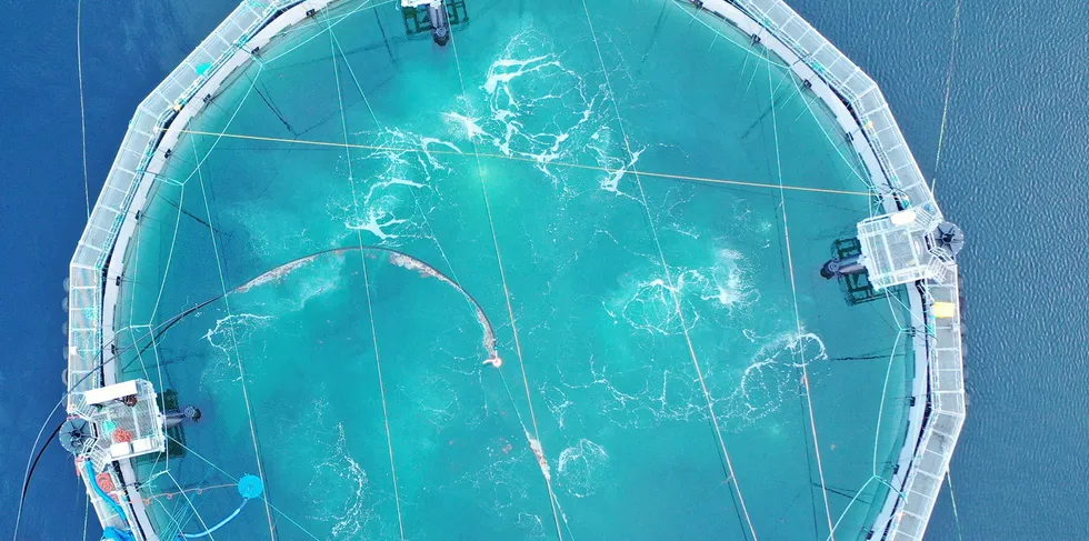 Cermaq Canada will be trialing a new semi-closed containment system (SCCS) at its operations on the west coast of Vancouver Island this in British Columbia.