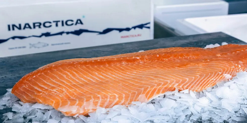 “The company plans to use the funds raised from the SPO for general corporate purposes, including investment projects, as part of a vertical integration strategy aimed at multiple business growth over the next few years,” said Inarctica CEO Ilya Sosnov.