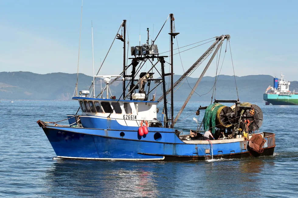The USDA purchases are helping West Coast seafood producers mitigate market challenges.