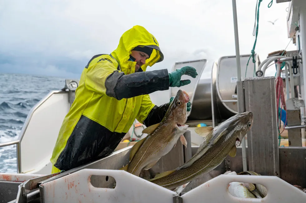 Notably for Russia, the ICES provides advice on Barents Sea fish stocks.
