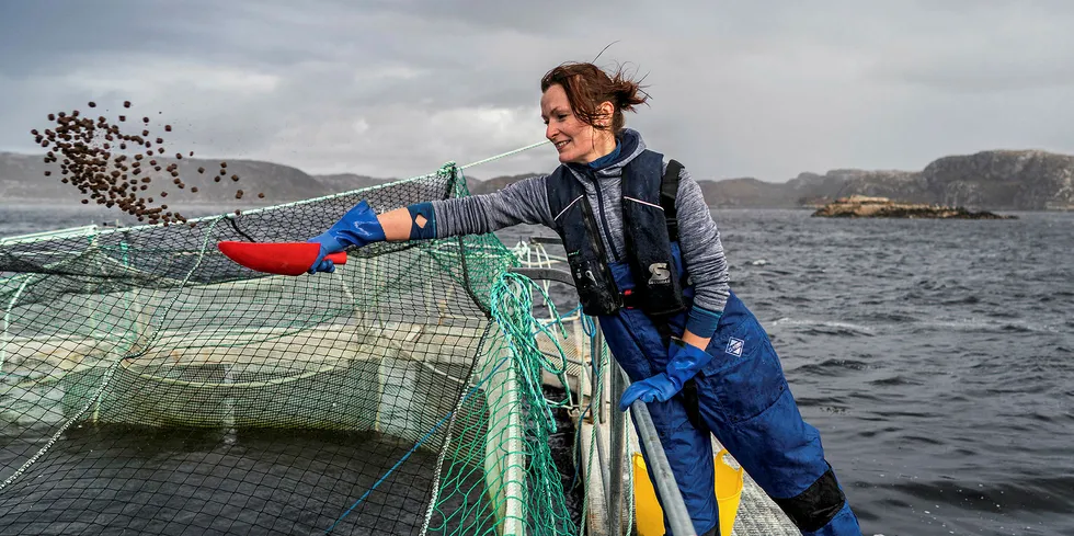Hot summer, gill health takes toll on Loch Duart salmon profits