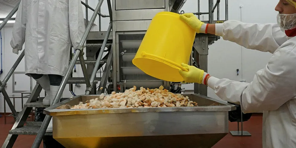Young's Grimsby processing facility has reported 8 coronavirus cases since September.