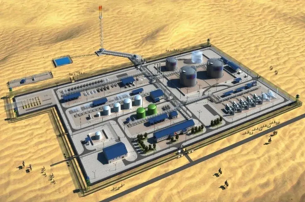On the drawing board: an artist's impression of the Koulele ground facilities