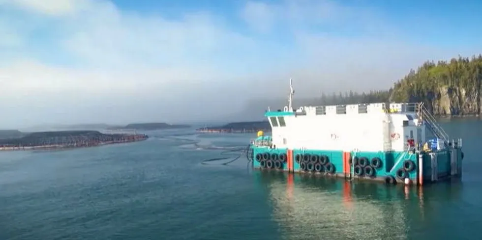 Kelly Cove Salmon showed video of its operations to the Aquaculture Review Board regarding its application for the boundary amendment for Farm AQ1039 located off Rattling Beach in the Annapolis Basin that was ultimately approved.