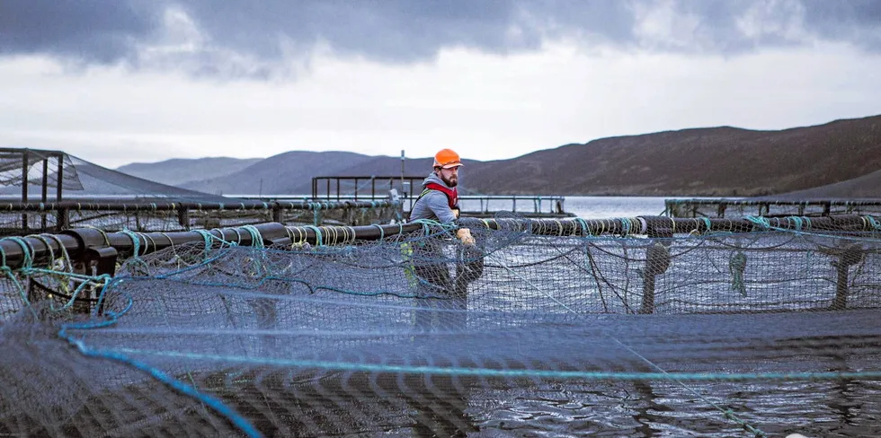 On site at Grieg Seafood's Shetland salmon farms.
