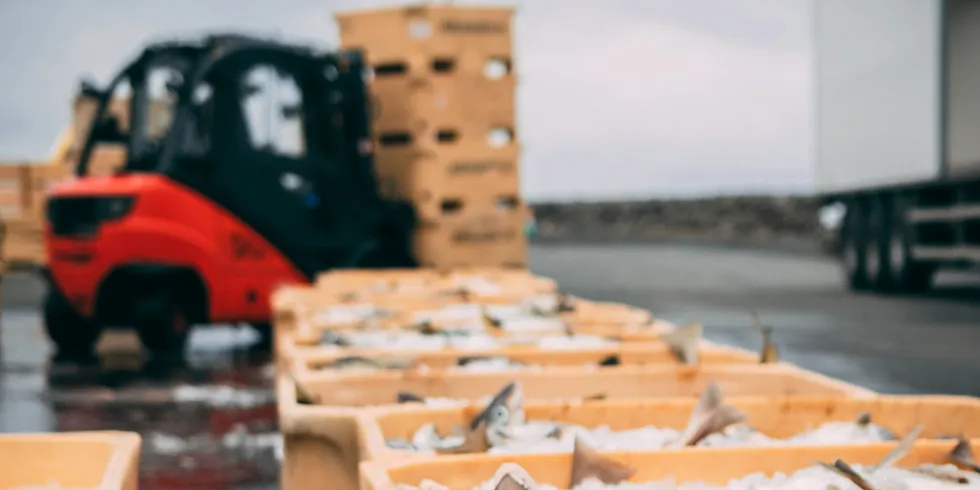 Prices for Icelandic cod went 'way too high' last summer, for a myriad of reasons, said a source. 'Everybody was screaming for product and bought at very high prices.'