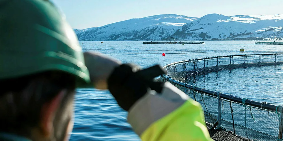 Mowi Canada East's operations have experienced several unusual weather incidents this year.