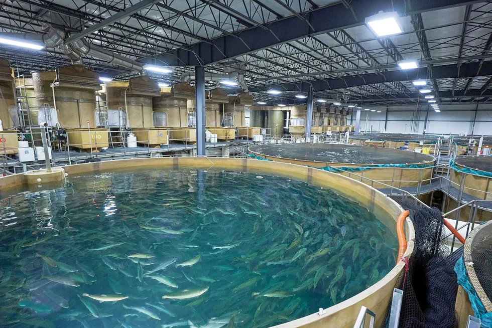 AquaBounty’s indoor grow-out tanks.