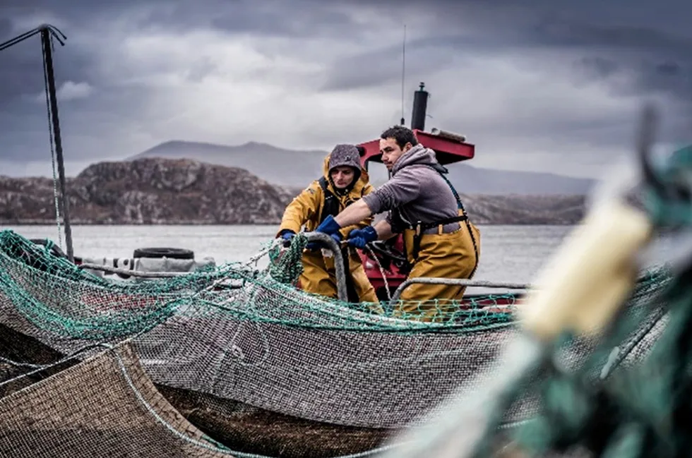 Loch Duart, which produces around 6,000 metric tons a year from its farms in northwest Scotland, is owned by US investment company Vision Ridge Partners.