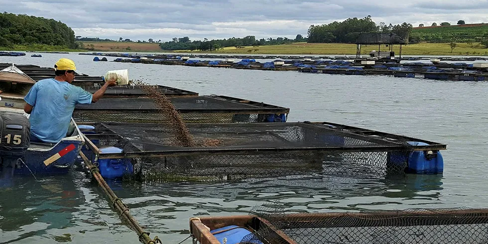 Brazilian aquaculture producers are finding it difficult to find funds keep their operations afloat.