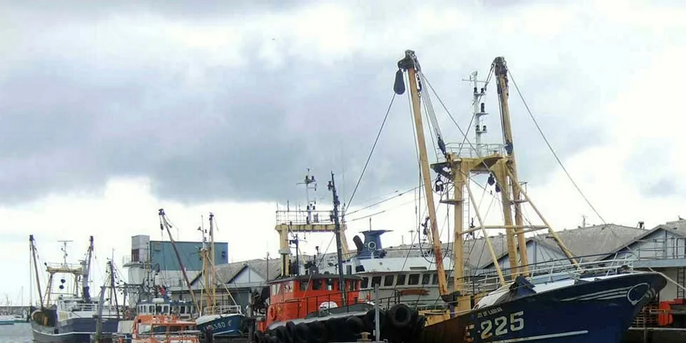 Fishing vessels in the UK fleet.