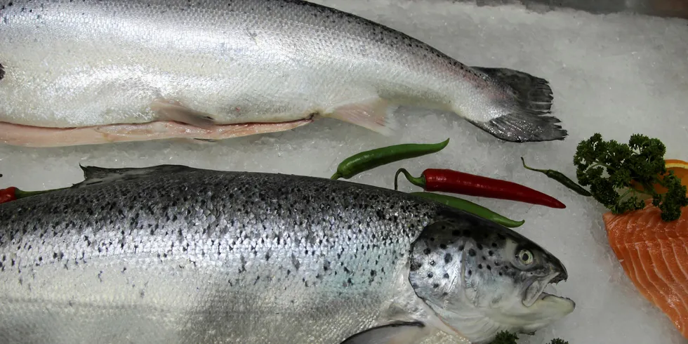 A focus on organic salmon has improved margins.