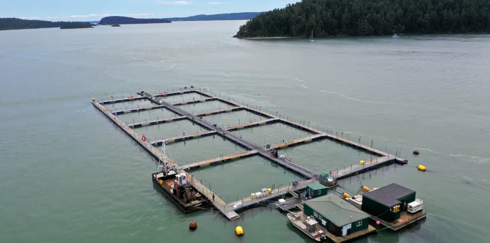 The cancellation of Cooke's leases was followed a week later by a complete ban on all netpen farming in state waters.