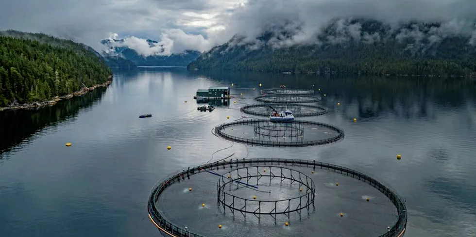On May 20, Grieg Seafood’s fifth and final farm in Nootka Sound received its Aquaculture Stewardship Council (ASC) Certification, making Nootka Sound Grieg’s first fully ASC-certified region.
