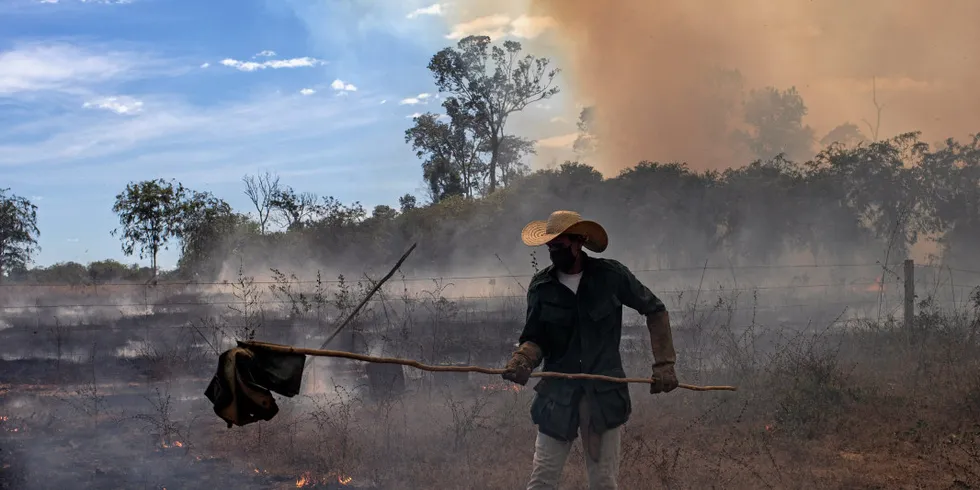 Members of a rural settlement in the Brazilian state of Mato Grosso try to put out a fire from illegal burning during an expedition led by the Rainforest Foundation which tried to monitor the relationship between soy production and deforestation.