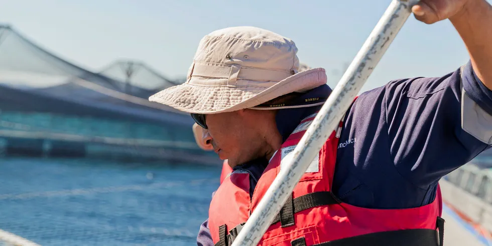 Camanchaca salmon harvests rebounded in the third quarter.