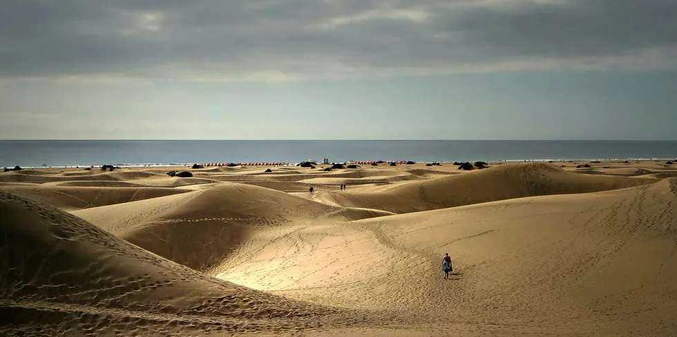 The wind farm would be off the Canaries.