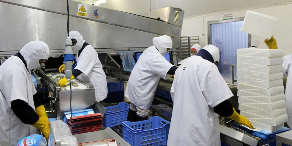 Despite lower orders from the United States and Europe, Ecuador shrimp exports march on.