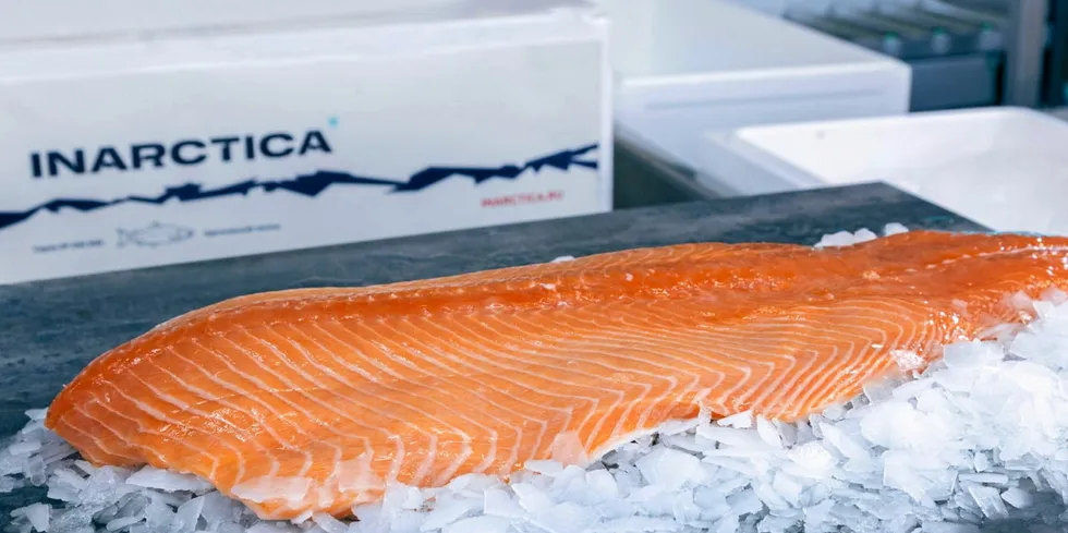Inarctica's growth in profit and revenue was driven by a 10 percent increase in sales volumes.
