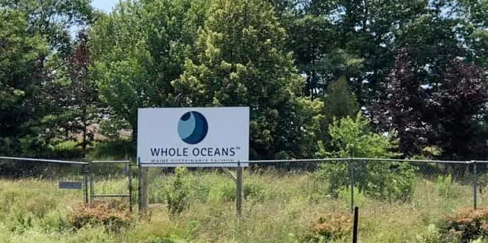 An empty lot where land-based salmon farmer Whole Oceans is reportedly planning to build its operation.