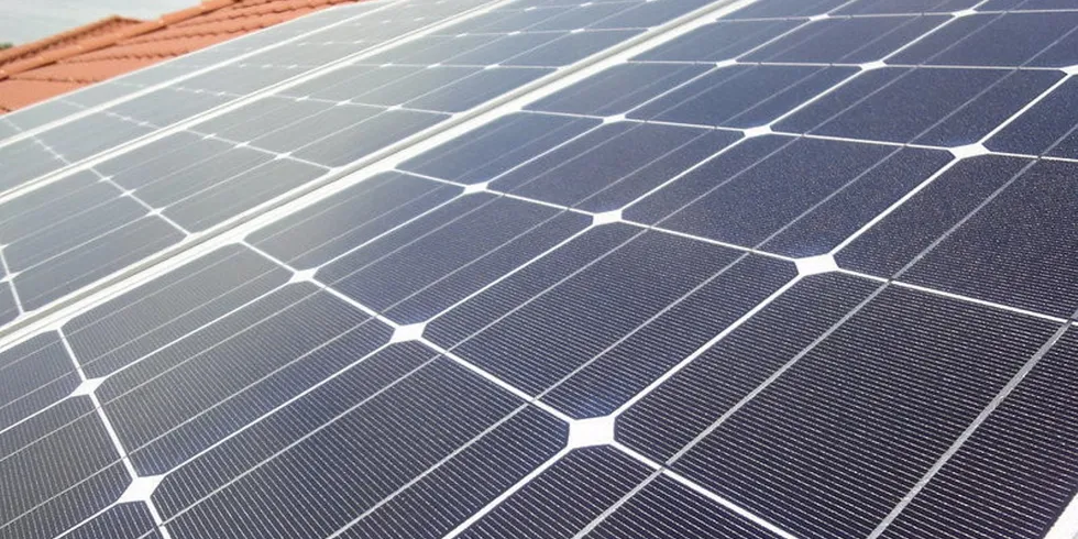 Growth was driven mainly by PV.