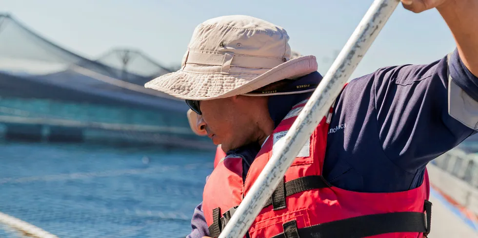 Salmones Camanchaca harvested 9,508 metric tons in the third quarter.