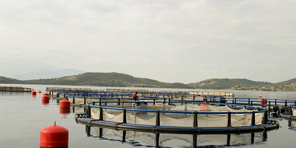 Selonda, Nireus takeover ends era of 'standstill' for Greek producers