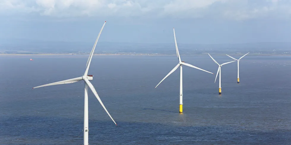 Burbo Bank Extension offshore wind farm. Pic: Dong