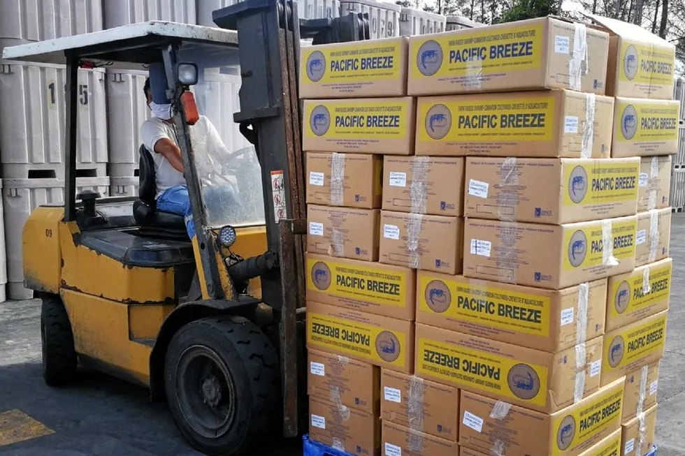 Monthly shrimp shipments to China from Ecuador fell five times in the opening nine months of this year.