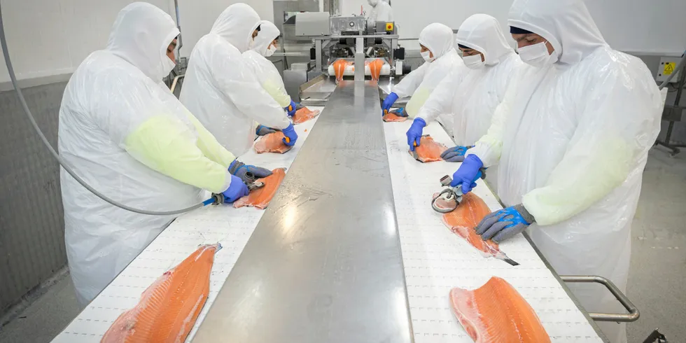 Chilean salmon exports have regained their solid footing in the Chinese market.