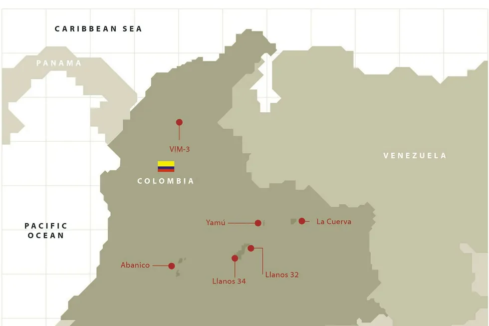 Colombia: GeoPark preparing for Llanos basin development