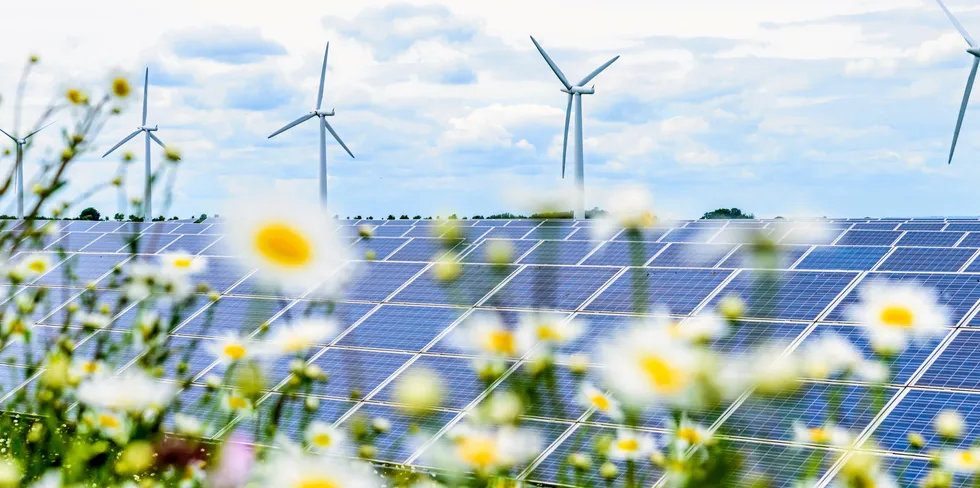 Onshore wind and solar have been in offshore wind's shadow in UK policy.